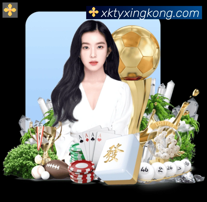xingkong平台生态图