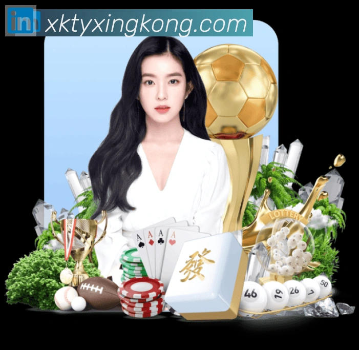 企业概况