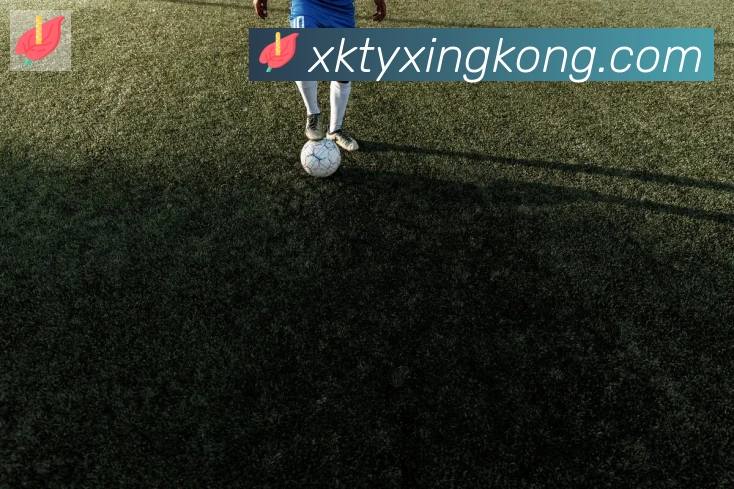 多彩内容专区