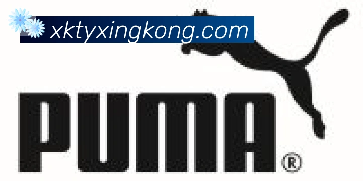 xingkong合作伙伴