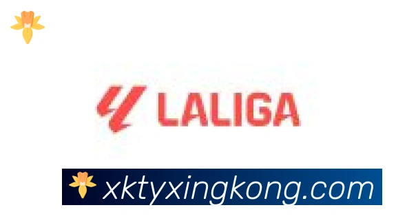 xingkong合作伙伴